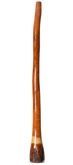 Ironbark Didgeridoo (IB185)